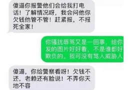 萍乡萍乡的要账公司在催收过程中的策略和技巧有哪些？